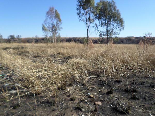 Property For Sale in Lydenburg, Lydenburg